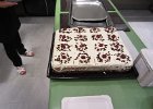 Wunderbare Kuchen und Torten von Angelika